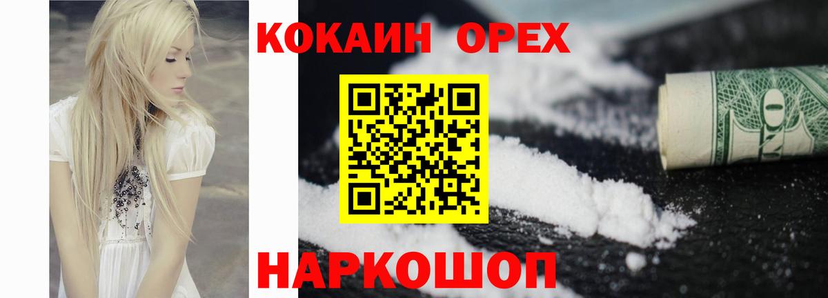 закладка  Вход с VPN  Елизово  COCAIN Fish Scale 