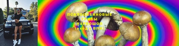 соль ск Абинск